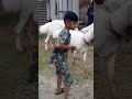 Aankhon per Patti bandhkar Sidha Luta Diya