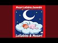 Miniature de la vidéo de la chanson Boccherini Minuet