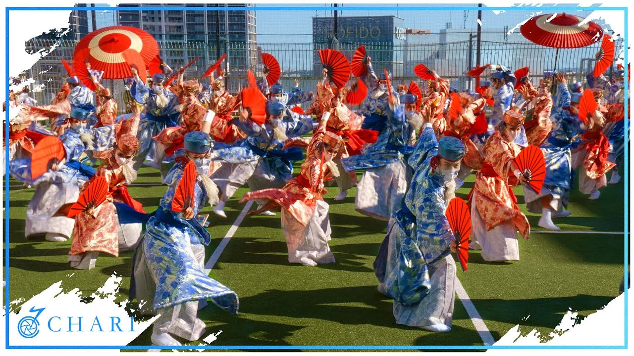 天空の舞 親子イルカ塗装を踏襲 写真特集・天草エアラインATR42 2代目「みぞか号