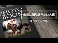 未来に語り継ぎたい名馬 Vol.20　オルフェーヴル　【ドキュメンタリー】