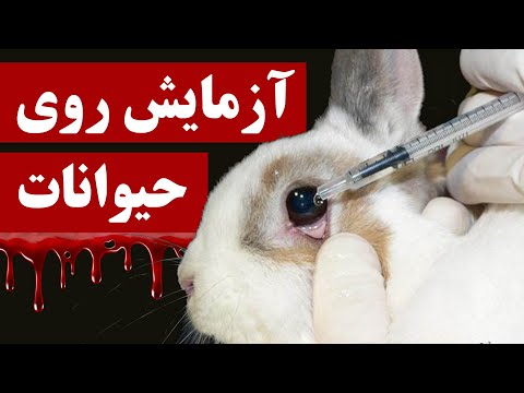 تصویری: آزمایشات آزمایشگاهی در مورد سلامتی گربه شما به شما چه می گویند