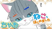 祝 小学館漫画賞受賞 ねこ はじめました 環方このみ ボイスコミック 内田雄馬 Youtube