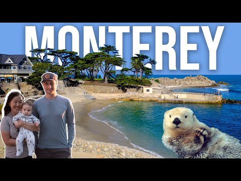 Exploring Pacific Grove and Monterey, California - SO MANY ANIMALS!