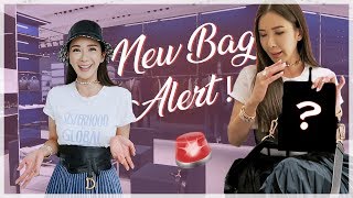 NEW BAG ALERT! | JAMIE CHUA