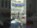 風沙中執勤的交警 溫柔指引一臉迷茫的小狗過馬路 拍攝者 簡直太有愛了 Shorts News Headlines Hotspots 風沙中執勤的交警 溫柔指引一臉迷茫的小狗過馬路 拍攝者 簡直太有愛了 Shorts News Headlines Hotspots