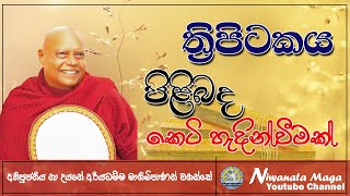 ත්‍රිපිටකය පිළිබද කෙටි හැදින්වීමක් (thripitakaya) | ven na uyane ariyadhamma maha thero screenshot 4