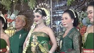 Wedding Prigel pangayu anjarwening