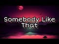 Tenille Arts - Somebody Like That (Lyrics)