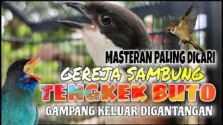 MASTERAN CENDET FULL TEMBAKAN GEREJA SAMBUNG TENGKEK BUTO PALING DICARI