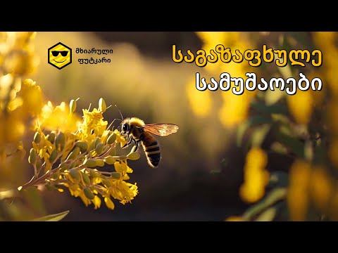 საგაზაფხულო სამუშაოები 2022