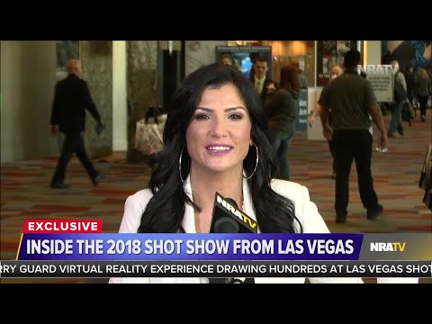 Dana Loesch: Gun Industry Is Comprised Of The Little Guys