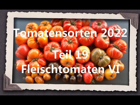 Video: Was ist eine rosa Zapotec-Tomate: Erfahren Sie mehr über die Pflege von rosa gef alteten Zapotec-Tomaten