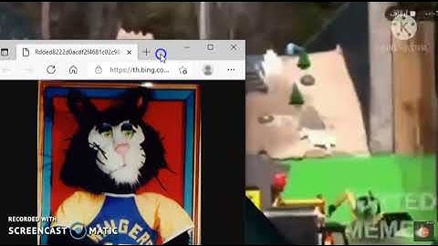 Crusty the Cat Has Fallen Into Something