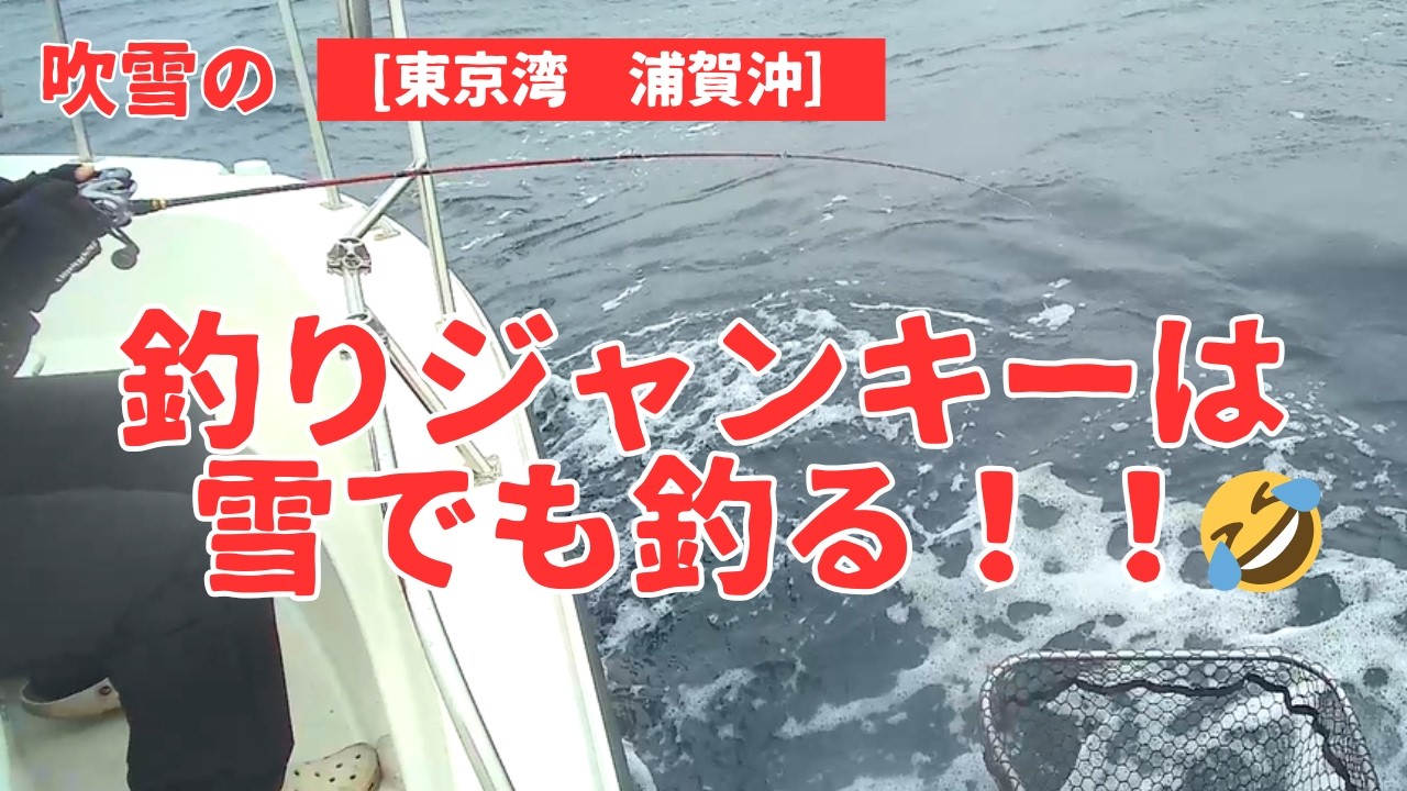 [浦賀沖] 雪の東京湾　半日だけど数は釣れた