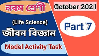 Class 9 life science model activity task part 7, class ix Life science model activity task October