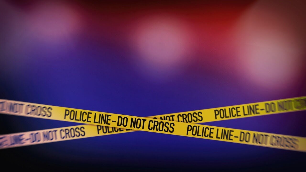 Woman seriously injured after multiple dogs attack her - YouTube