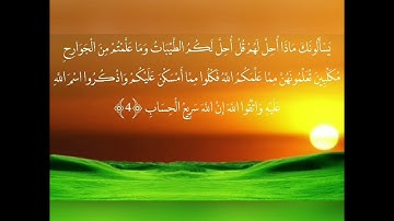 سورة المائدة من الآية 1 إلى 8