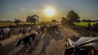 A Trip to Madagascar 2016 [HD]