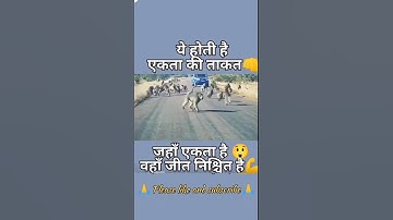 power of unity #shorts #viral #trending