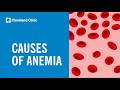 5 Causes of Anemia