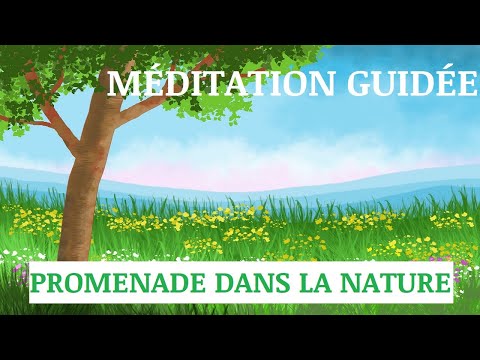 MÉDITATION GUIDÉE Promenade Dans La Nature Visualisation