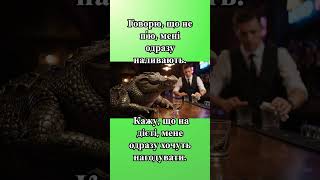 37 Crocodile_s_Bar🐼 Absurd Comedy with Panda &amp; CO! 🐼🐸 [EN/UA]  #AbsurdComedy  #FunnyShorts