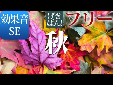 【著作権フリー 効果音 SE】悲しい 孤独 切ない 寂しい ピアノ『秋』商用可 無料 動画制作 動画の効果音