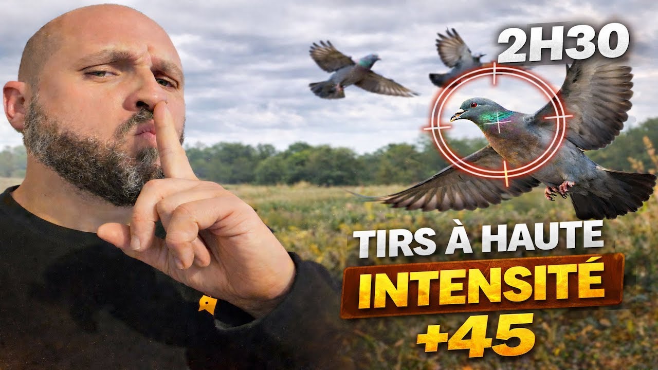 Tirs à haute intensité | 45+ | Régulation de pigeons au Super Black Eagle 3