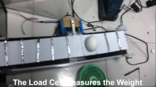 Microcontroller based Egg Segregator