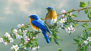Chris Connor — Lullaby of Birdland [Legendado]