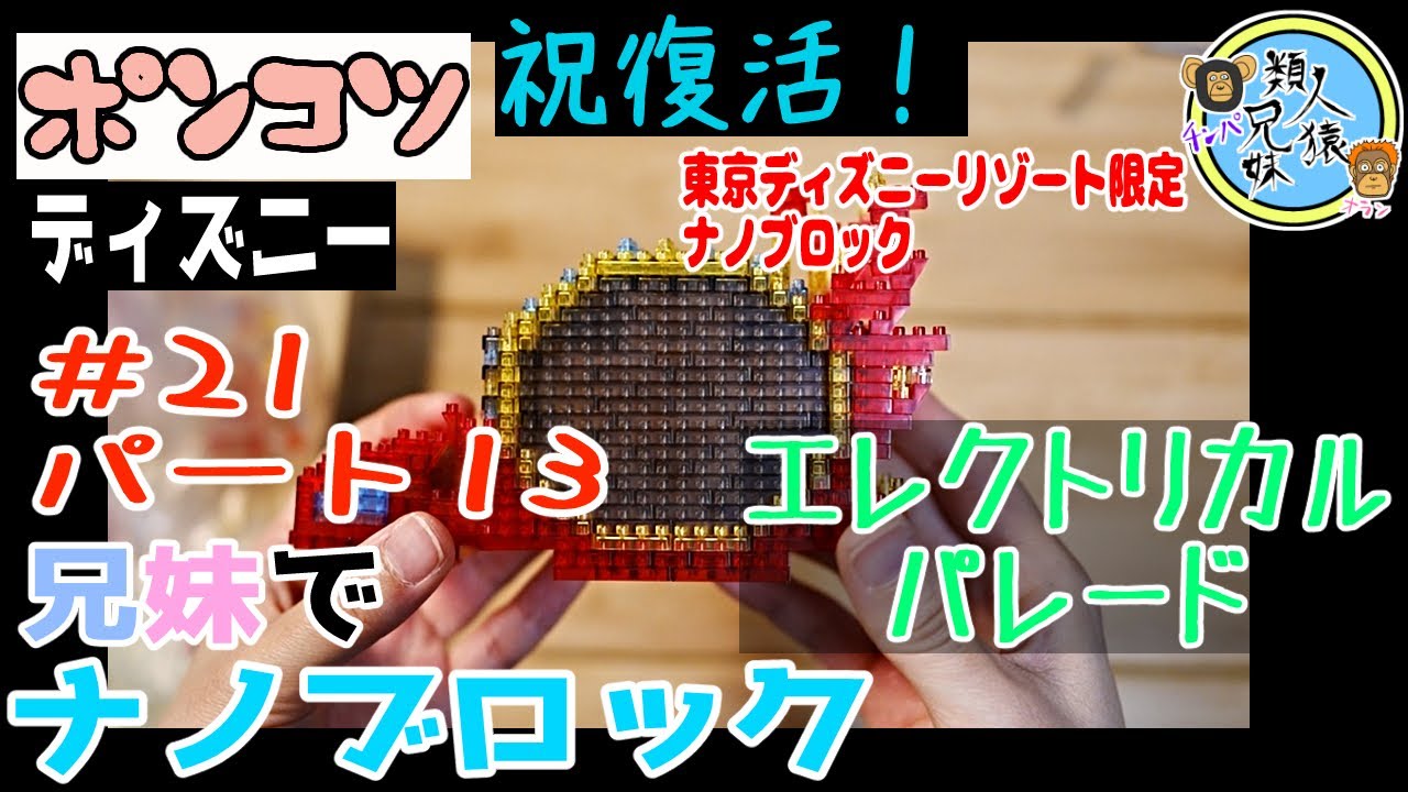 祝復活!東京ディズニーランド エレクトリカルパレード ドリームライツ 