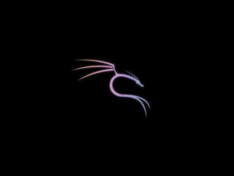 Kali Linux 2022.2 | Инструменты для пентеста