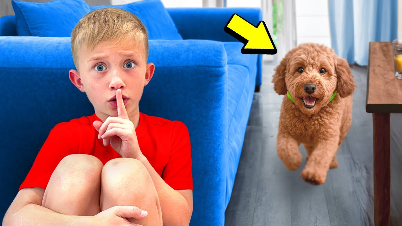 Can Our Dog Find Levi & Ivy Playing Hide & Seek?!