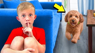 Download Lagu Can Our Dog Find Levi \u0026 Ivy Playing Hide \u0026 Seek?! MP3 Download Lagu Can Our Dog Find Levi \u0026 Ivy Playing Hide \u0026 Seek?! MP3