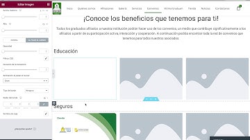 Efectos de imagen con el plugin Elementor al pasar el cursor