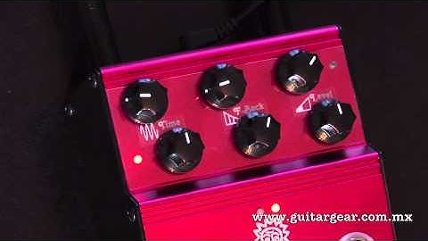 AnalogMan Analog Delay ARDX20