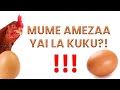 MUME NA YAI LA KUKU MUME NA YAI LA KUKU