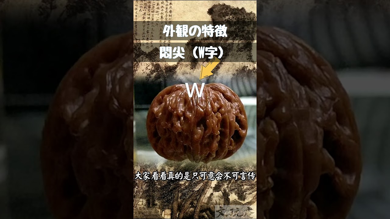 初心者向け｜文玩胡桃 磨盤くるみの品種紹介 - YouTube