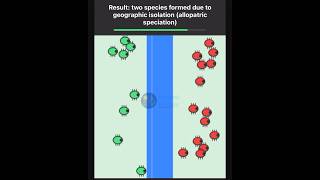 Types of Biological Speciation