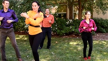 Dance Your PhD 2016: Bee disease transmission