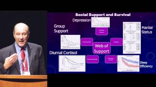 Celebrity CCARE Compassion and Healthcare 2014: Perspectives on Compassion in Healthcare Profile