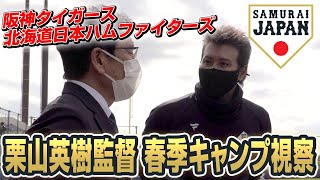 栗山監督春季キャンプ視察 2022年2月6日（阪神タイガース、北海道日本ハムファイターズ）