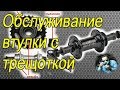 Профилактика втулки заднего колеса велосипеда со съемной трещоткой.