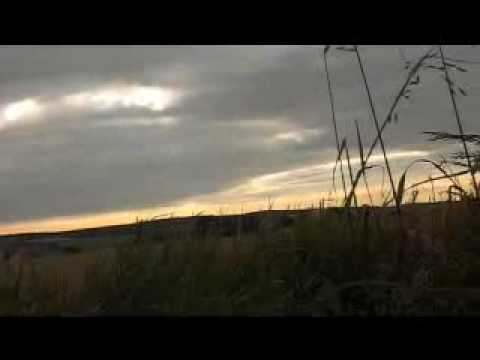 Pigeon and crow shooting with my Baikal 12g.