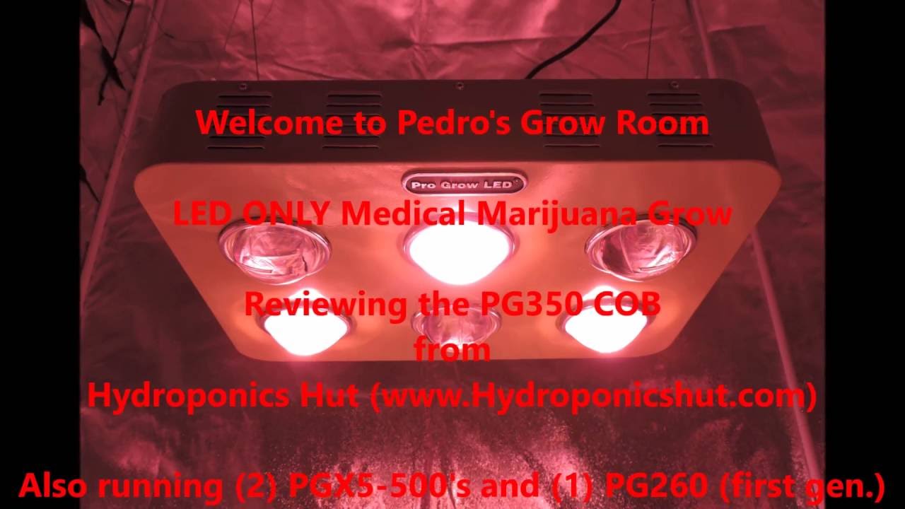 Pro Grow 350 COB Review and Decisions... Episode 3