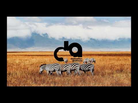 Deji Abdul - Tongolo