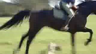 Ossin Kans Este 30Cm Xd