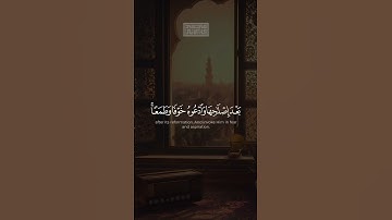 {ٱدۡعُوا۟ رَبَّكُمۡ تَضَرُّعࣰا وَخُفۡیَةًۚ إِنَّهُۥ لَا یُحِبُّ} | محمد صديق المنشاوي | سورة الأعراف