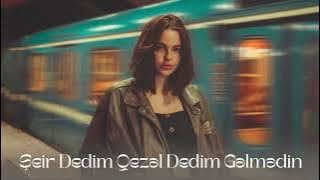 Şeir Dedim Qezel Dedim Gelmedi I Tik Tokda Trend Olan Yeni İfa 2025 ( Ai Version )