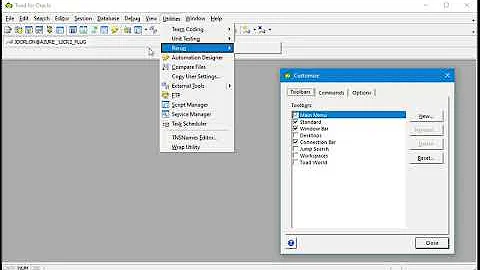 Customize Toad's Main Toolbar and Startup Windows